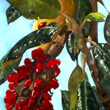 Baby Rattle
30x20
FRAMED Baby Rattle
30x20
FRAMED